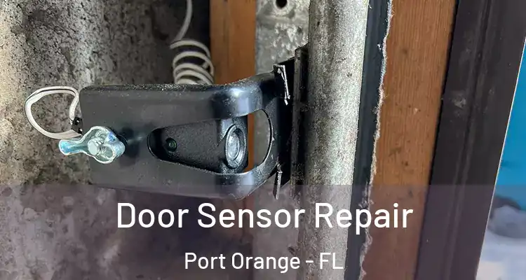 Door Sensor Repair Port Orange - FL
