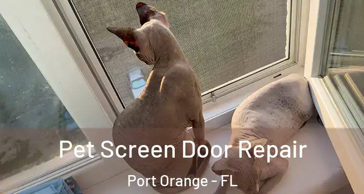 Pet Screen Door Repair Port Orange - FL