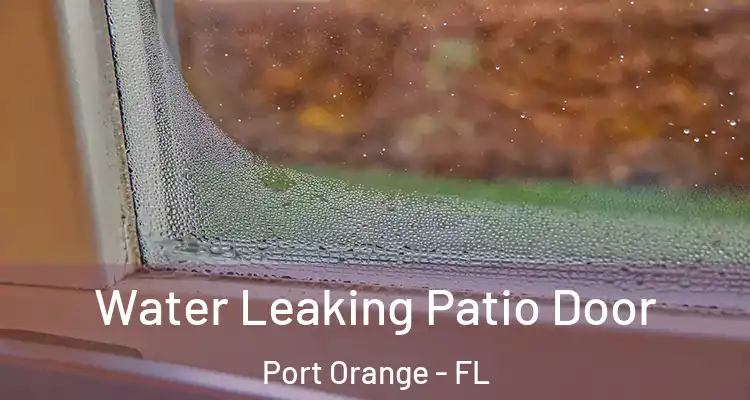 Water Leaking Patio Door Port Orange - FL